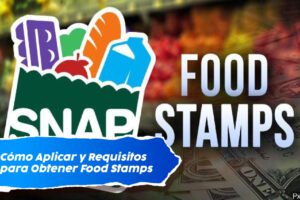 Ayuda de Comida SNAP: Cómo Aplicar y Requisitos para Obtener Food Stamps 21 Ayuda de Comida SNAP: Cómo Aplicar y Requisitos para Obtener Food Stamps